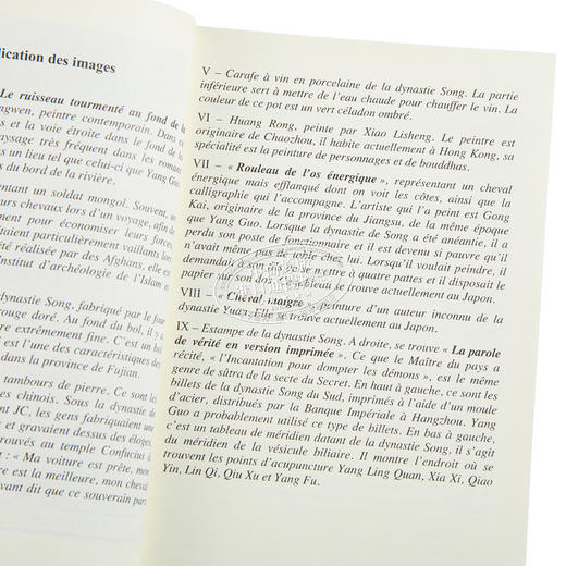 预售 【中商原版】神雕侠侣 神雕法文版第二册 金庸 法文原版 Jin YongLE JUSTICIER ET LAIGLE MYTHIQUE, VOL. 2 商品图2
