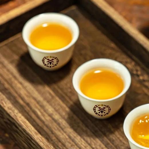 中茶2023蝴蝶5613老树白茶五年陈白牡丹紧压茶300g 商品图2