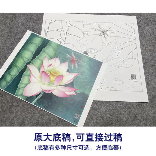 【大彩图】李晓明工笔画白描底稿小品《荷花蜻蜓》临摹勾线花鸟线稿K085 商品图1