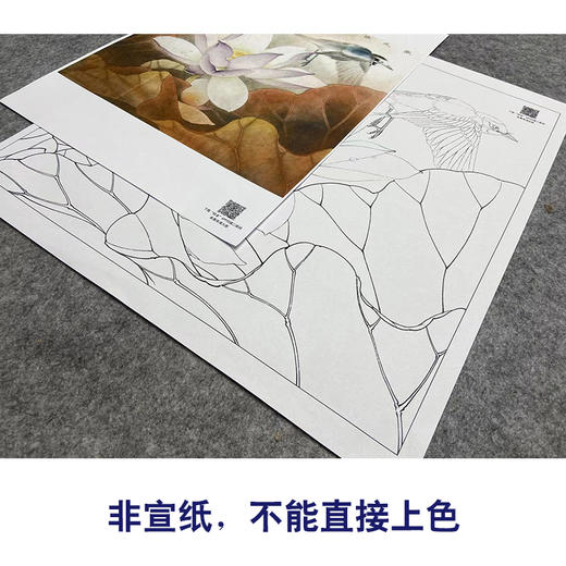 【大彩图】李晓明工笔画白描底稿斗方小品《紫荷白鹡鸰》荷花临摹勾线花鸟线稿K094 商品图2