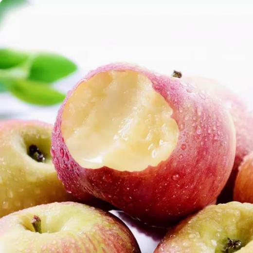 南非小苹果 约500g /份 商品图1