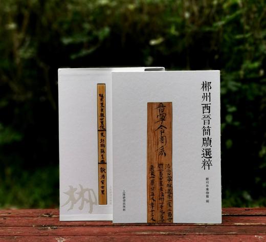 《郴州西晋简牍选粹》，16开，函套精装,铜版彩印，郴州市博物馆编，上海辞书出版社2022年12月出版，定价：480，售价：336。 商品图2