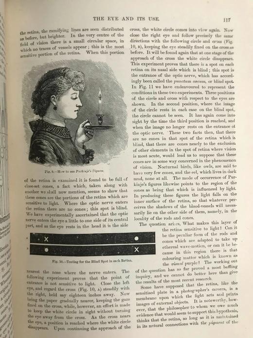 约19世纪后期 万物科学（卷3） 约百幅插图 漆布精装16开 商品图7