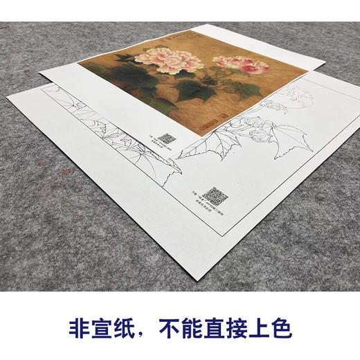 【大彩图】李晓明工笔画白描底稿斗方小品《红芙蓉花》临摹勾线花鸟线稿K111 商品图2