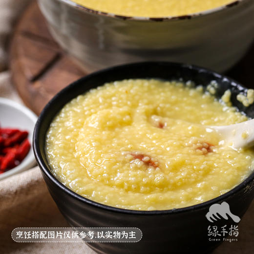 生态红谷子小米 | 合作生产 * Ecological millet | Coproduction 商品图2