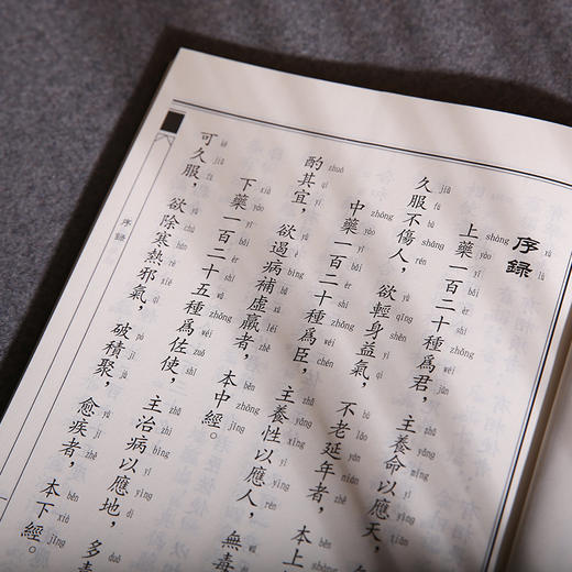 神农本草经 中华经典诵读教材（第二辑）中华传统文化经典选读儒家佛教国学入门书籍少年儿童经典诵读教材中华传统文化国学经典书 商品图5