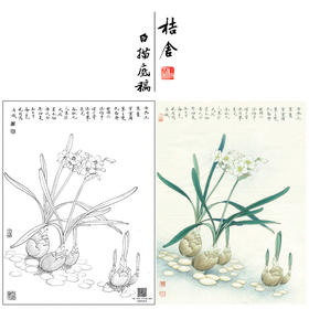 【大彩图】李晓明工笔画白描底稿小品《水仙花》临摹勾线花鸟线稿K108