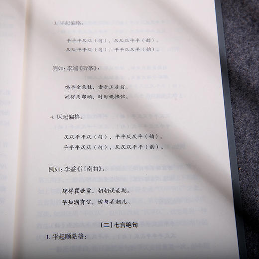 词学十讲 龙榆生著作精选集 商品图3