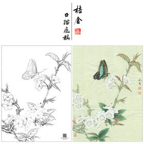 【大彩图】李晓明工笔画白描底稿《梨花蛱蝶图》蝴蝶临摹勾线花鸟线稿K106