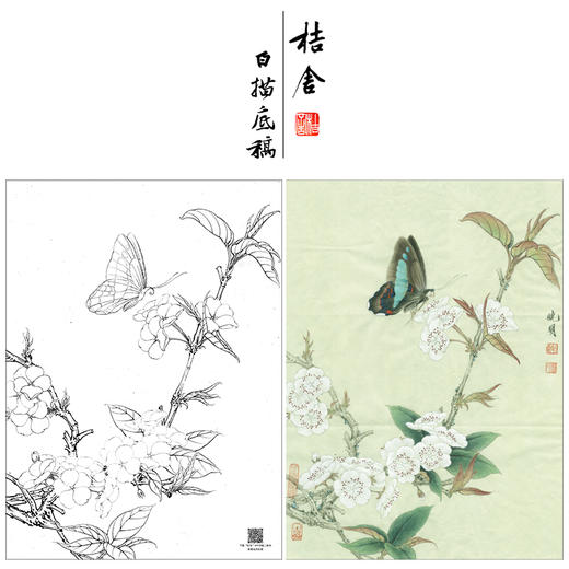 【大彩图】李晓明工笔画白描底稿《梨花蛱蝶图》蝴蝶临摹勾线花鸟线稿K106 商品图0