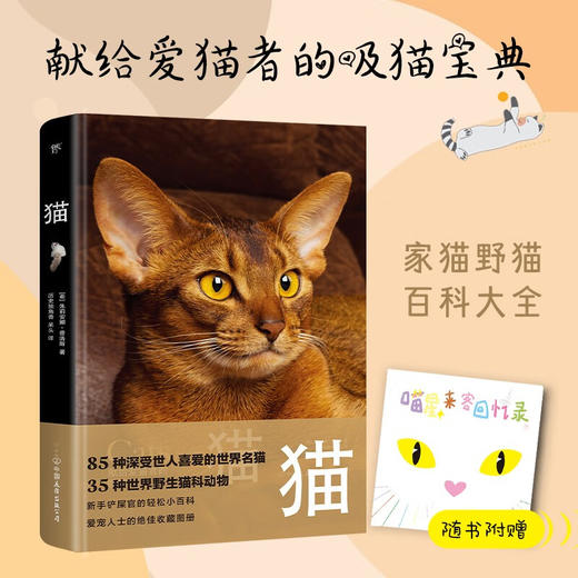 猫 朱莉安娜·普洛斯 著 科普读物 商品图0
