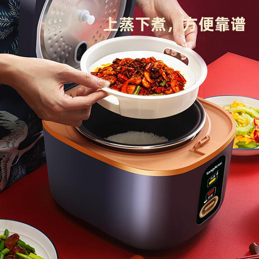 【小家电】龙的迷你电饭煲LD-FS21A HF 商品图3