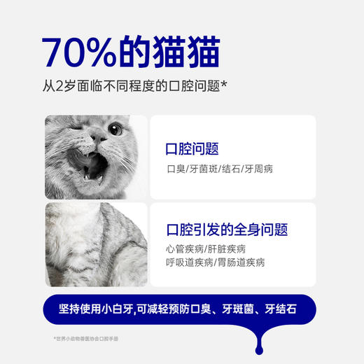 🎁[年货节]小白牙猫咪洁齿冻干棒 35g/包，吃肉洁齿 闪耀小白牙 商品图8