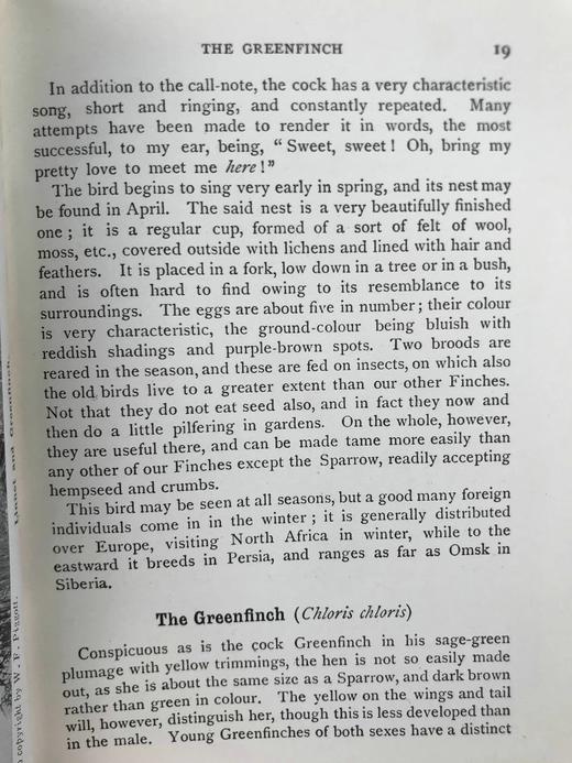 1910年 英国乡下常见鸟类手册 12幅彩色118幅黑白插图 漆布精装36开 商品图14