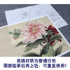 【大彩图】李晓明工笔画白描底稿小品《大丽菊》菊花临摹勾线花鸟线稿K102 商品缩略图3