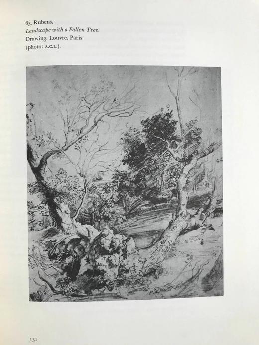 鲁本斯1620年前画集 84幅插图 精装16开 商品图10