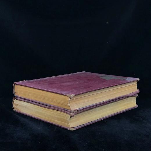 【法语】1932-1933年 艺术史（全2卷） 近2000幅插图（12幅彩色手工贴图） 皮脊精装大16开 商品图1