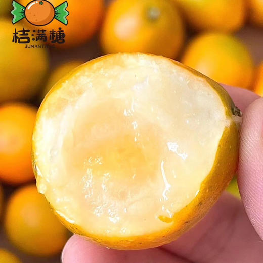【脆蜜金柑中大果】桔满糖融安甜心桔，有一种果子天生就讨喜不仅大吉大利，而且招财进宝，水灵灵的金桔，蜜思念味 商品图1