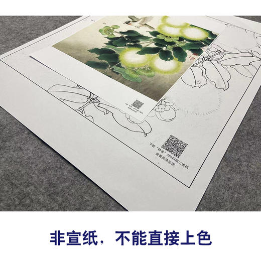 【大彩图】李晓明工笔画白描底稿小品《合欢山雀图》临摹勾线花鸟线稿K105 商品图2