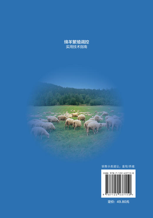 绵羊繁殖调控实用技术指南 商品图1