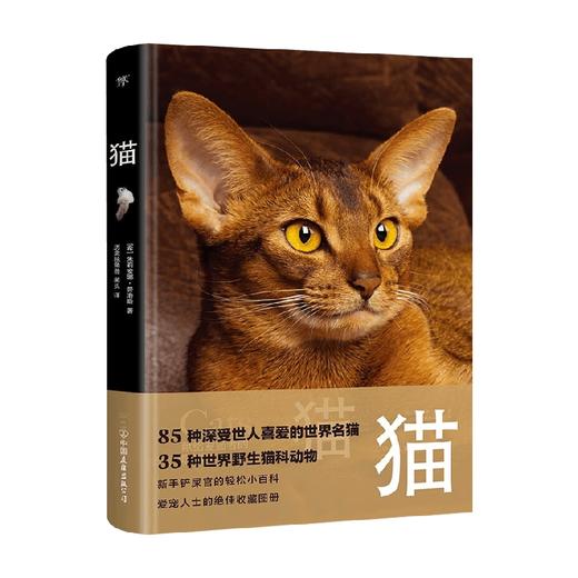 猫 朱莉安娜·普洛斯 著 科普读物 商品图4