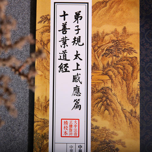 弟子规太上感应篇十善业道经中华经典诵读教材儒释道经典儒家6-8-9-12岁小学生课外阅读书籍国学入门少年儿童经典诵读教材 商品图2