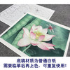 【大彩图】李晓明工笔画白描底稿小品《荷花蜻蜓》临摹勾线花鸟线稿K085 商品缩略图3