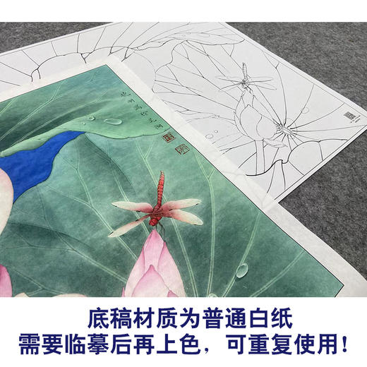 【大彩图】李晓明工笔画白描底稿斗方小品《菡萏初过雨》荷花临摹勾线花鸟线稿K086 商品图3