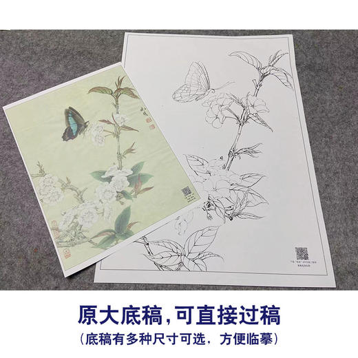 【大彩图】李晓明工笔画白描底稿《梨花蛱蝶图》蝴蝶临摹勾线花鸟线稿K106 商品图1