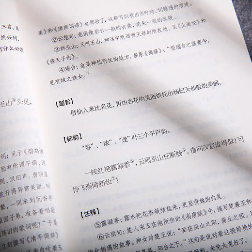 唐五代词选注 龙榆生著作精选集 商品图4