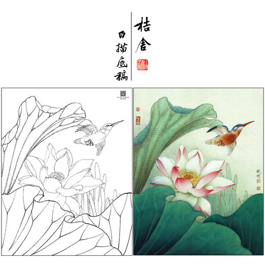 【大彩图】李晓明工笔画白描底稿《菡萏新花》荷花临摹勾线花鸟线稿K087 商品图0