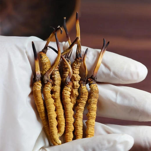 【西藏好物】那曲干草  10g 商品图1