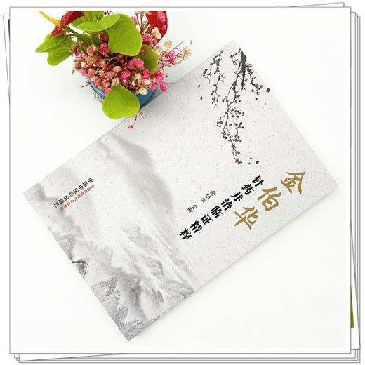 金伯华针药并治临证精粹 金伯华 主编 中国中医药出版社 中医临床 书籍 商品图1