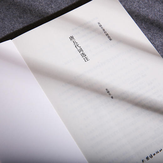 唐五代词选注 龙榆生著作精选集 商品图3