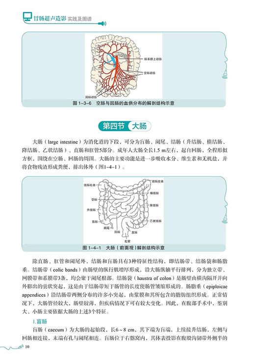 胃肠超声造影实践及图谱 胃肠病超声波诊断图谱 胃十二指肠恶性病变 回盲部病变 影像超声医学书籍 科学技术文献出版9787523507469 商品图4