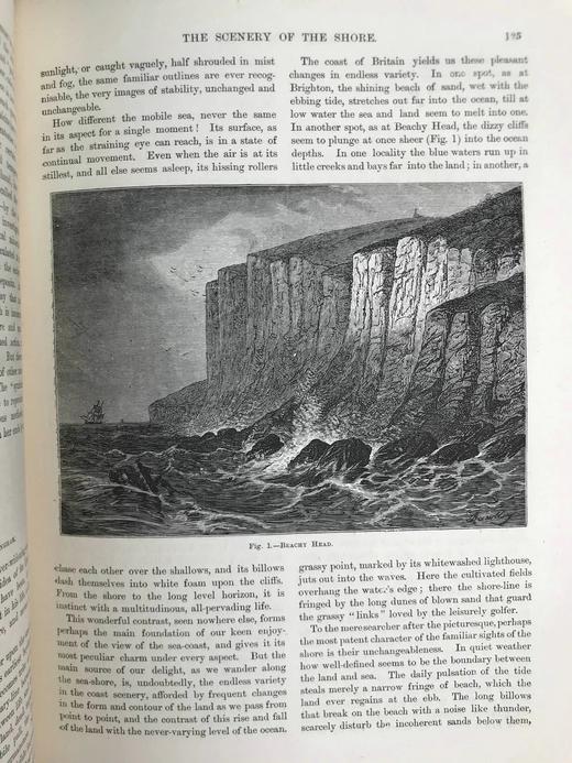 约19世纪后期 万物科学（卷3） 约百幅插图 漆布精装16开 商品图6