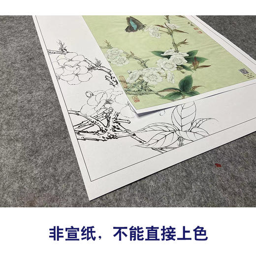 【大彩图】李晓明工笔画白描底稿《梨花蛱蝶图》蝴蝶临摹勾线花鸟线稿K106 商品图2