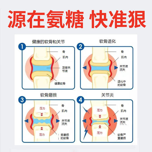 【大鹏】氨糖涂抹膏 100g*3瓶 商品图1