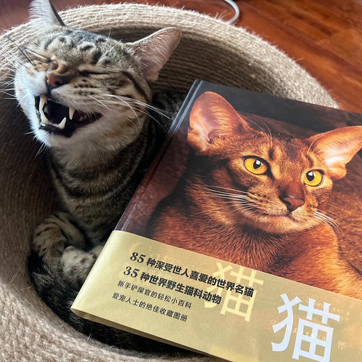 猫 朱莉安娜·普洛斯 著 科普读物 商品图3