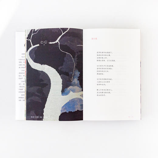 恶之花 夏尔波德莱尔著 全新插图珍藏版 161首诗歌完整收录 新增81幅同时代名画 商品图3