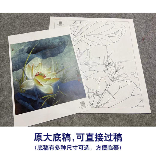 【大彩图】李晓明工笔画白描底稿小品《黄荷花》临摹勾线花鸟线稿K089 商品图1