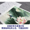 【大彩图】李晓明工笔画白描底稿斗方小品《绿翠红荷》荷花临摹勾线花鸟线稿K090 商品缩略图3