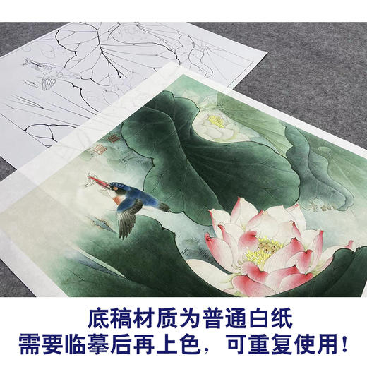 【大彩图】李晓明工笔画白描底稿斗方小品《绿翠红荷》荷花临摹勾线花鸟线稿K090 商品图3
