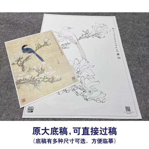 【大彩图】李晓明工笔画白描底稿《玉兰灰喜鹊》临摹勾线花鸟线稿K113 商品图1