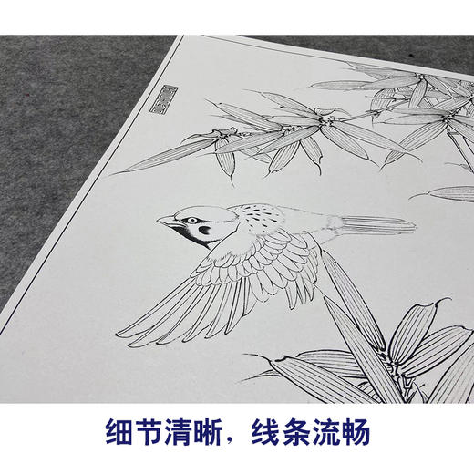 【大彩图】李晓明工笔画白描底稿小品《麻雀翠竹图》临摹勾线花鸟线稿K112 商品图4
