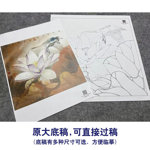 【大彩图】李晓明工笔画白描底稿斗方小品《紫荷白鹡鸰》荷花临摹勾线花鸟线稿K094 商品图1
