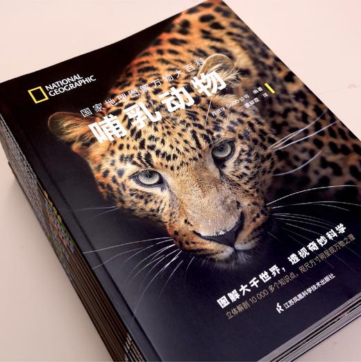 《国家地理图解万物大百科》（全18册） 商品图7