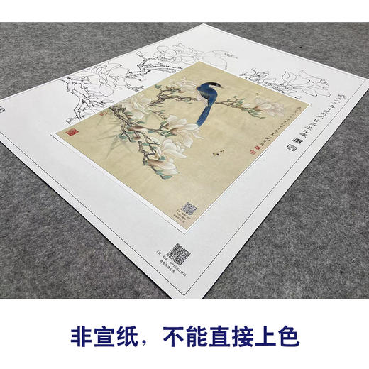 【大彩图】李晓明工笔画白描底稿《玉兰灰喜鹊》临摹勾线花鸟线稿K113 商品图2