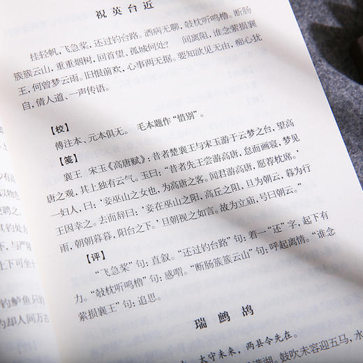 东坡乐府笺 龙榆生作品精选集 商品图4