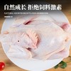 【到手3只】农家散养走地鸡 700g/只*3只 已净膛处理 肉质鲜嫩多汁 商品缩略图1